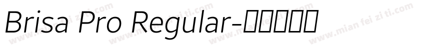 Brisa Pro Regular字体转换